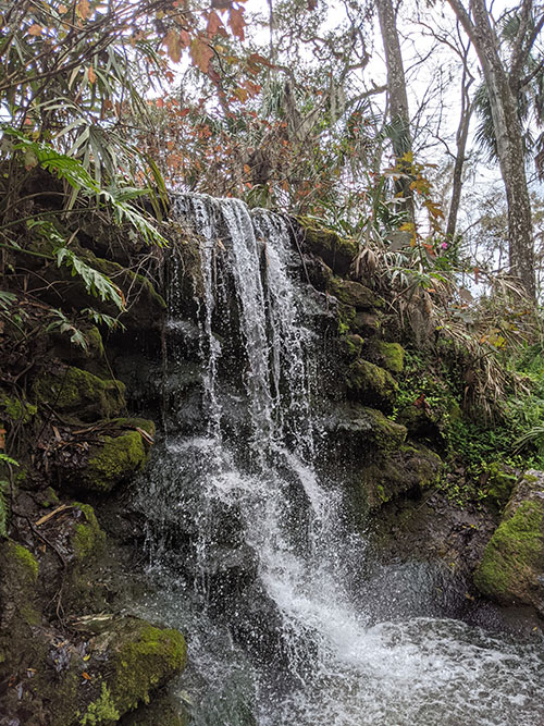 Rainbow Springs Dunellen FL by Sandra