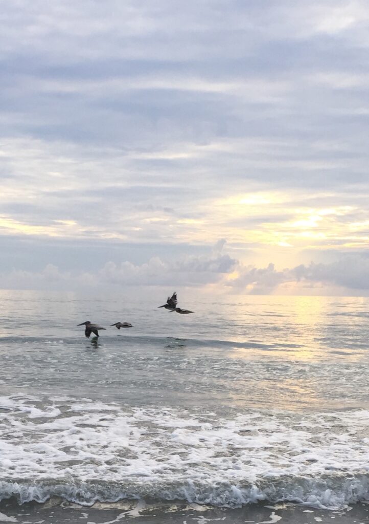 Jensen Beach FL Taken by Sonia O