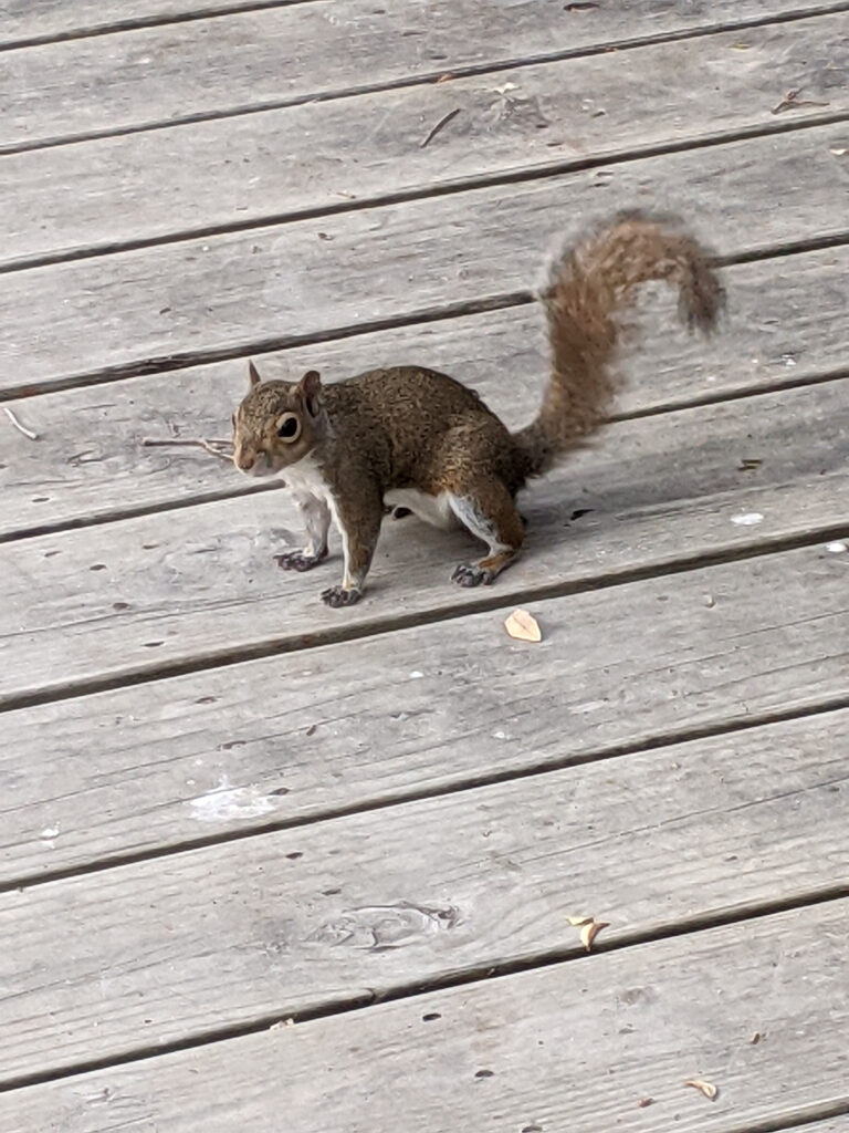 Fort Island Resident Taken by Sandra W